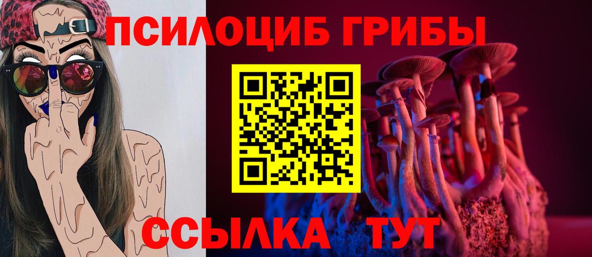 Ишимбай  Галлюциногенные грибы Psilocybine cubensis  Вход с VPN 